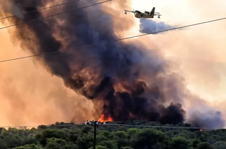 Φωτιά στον Αλμυρό Βόλου: Έτσι έγινε η τραγωδία με την απανθρακωμένη γυναίκα στο τροχόσπιτο της