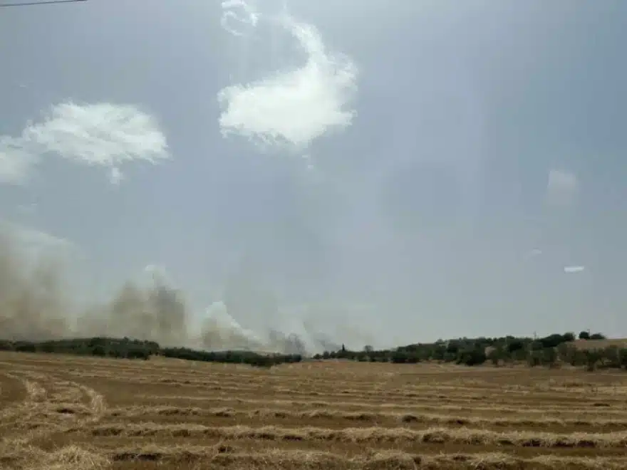 358655534 241869238710827 6195762036301548373 n 840x630 1