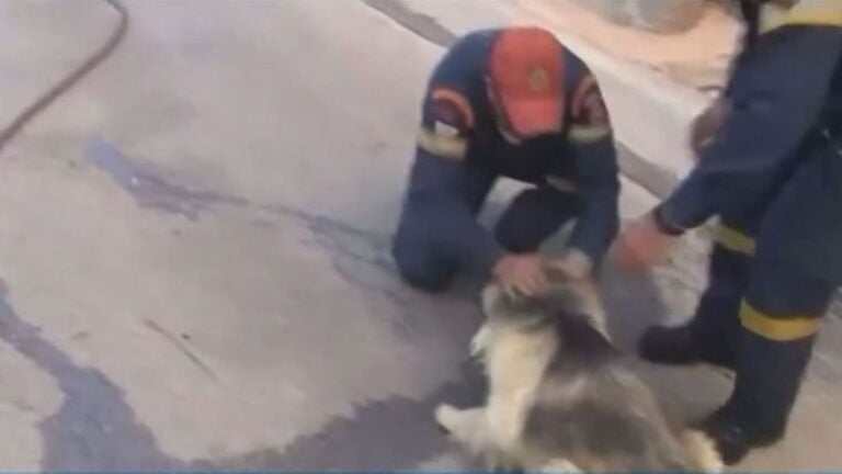 Φωτιά στον Κουβαρά: Πυροσβέστες παρηγορούν φοβισμένο σκύλο