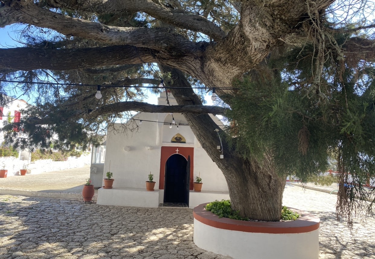 7a9c3f10 2ca8 4c3a b078 8daa29de11e5