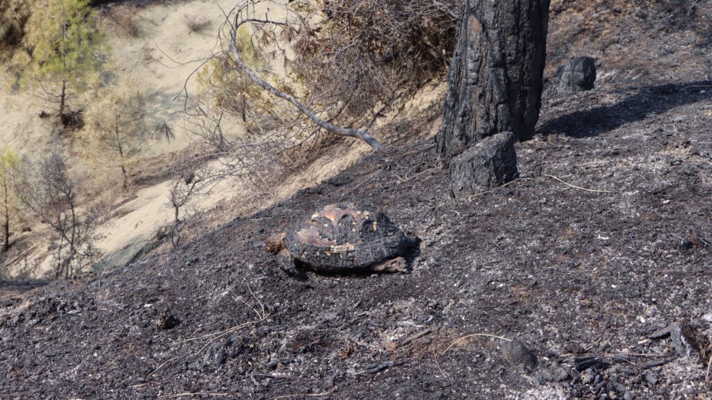 897r6tyt68r75ty 1024x576 1