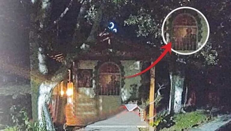 Αγία Παρασκευή: Το συγκλονιστικό θαύμα που συνέβη το 2019 – «Ζει» ανάμεσα σε κατοίκους χωριού στα Τέμπη