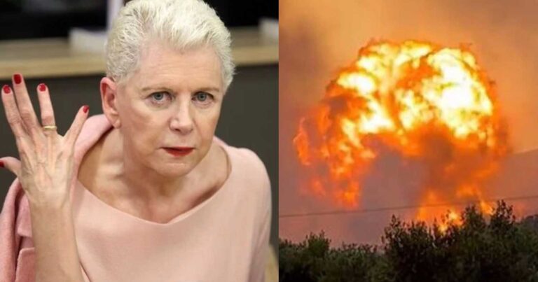 Με 7 λέξεις μας είπε σε τι χώρα ζούμε: Η Έλενα Ακρίτα τα είπε όλα για την κυβέρνηση και τις φωτιές