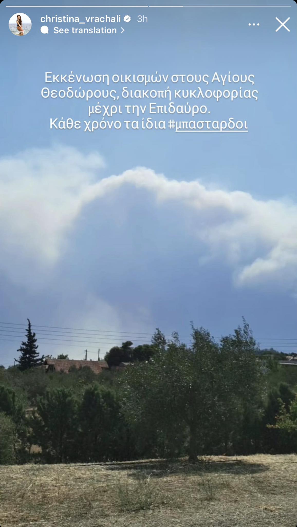 «Μπ@σταρδοι...»: H οργισμένη ανάρτηση της Χριστίνας Βραχάλη κατά τη διάρκεια της πύρινης λαίλαπας (Pics)