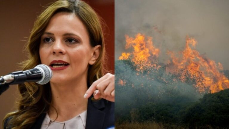 Έφη Αχτσιόγλου για φωτιές: «Δεν υπήρξε επιχειρησιακή επάρκεια και σχέδιο από την κυβέρνηση»