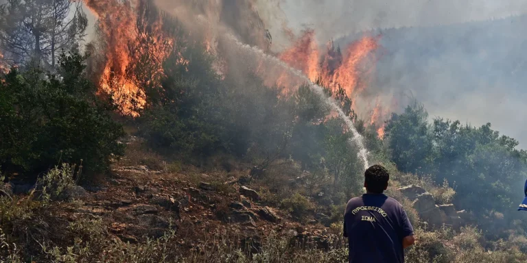 Συνελήφθη 30χρονος για τις φωτιές στη Μεσσηνία – Ομολόγησε 3 εμπρησμούς