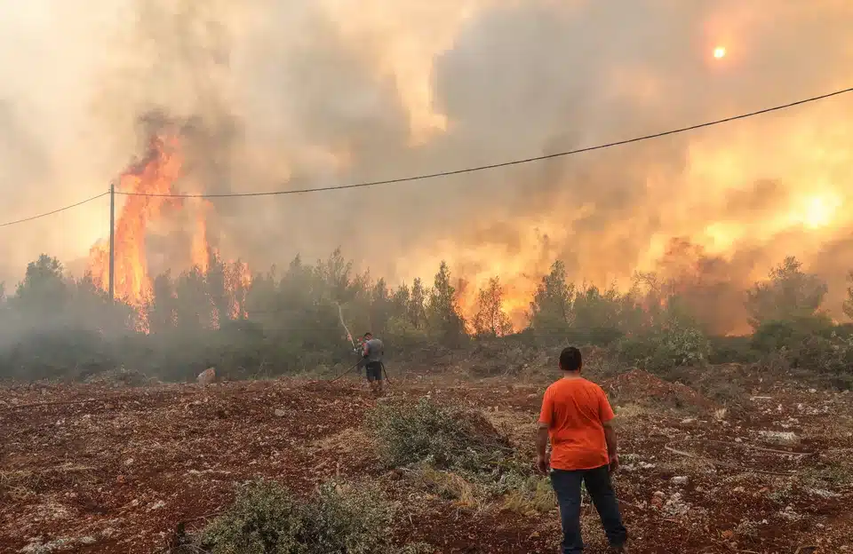 fotia ethelontes pirosvestes.jpg