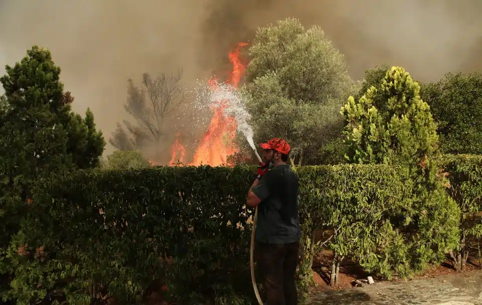 fotia ethelontis manika.jpg