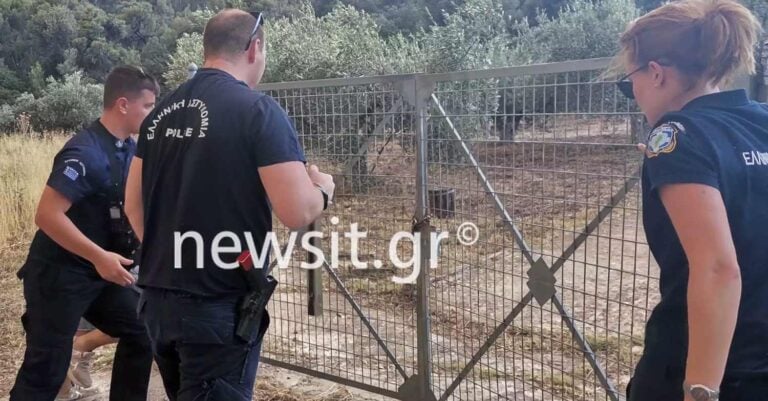 Φωτιά στη Μάνδρα: Αστυνομικοί σπάνε την καγκελόπορτα σπιτιού για να απεγκλωβίσουν σκύλο