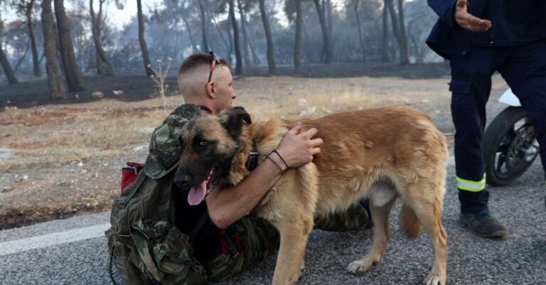Φωτιές στη Δ. Αττική: Η μάχη πυροσβεστών, εθελοντών και κατοίκων με τις φλόγες -Συγκλονιστικές φωτογραφίες