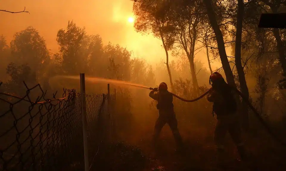 pirosvestes fotia dytiki attiki.jpg