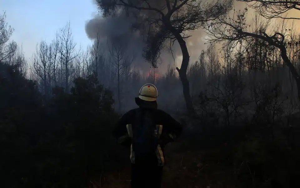 pirosvestis foties kapnos dasos.jpg