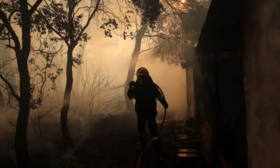 pirosvestis kapnoi manika.jpg