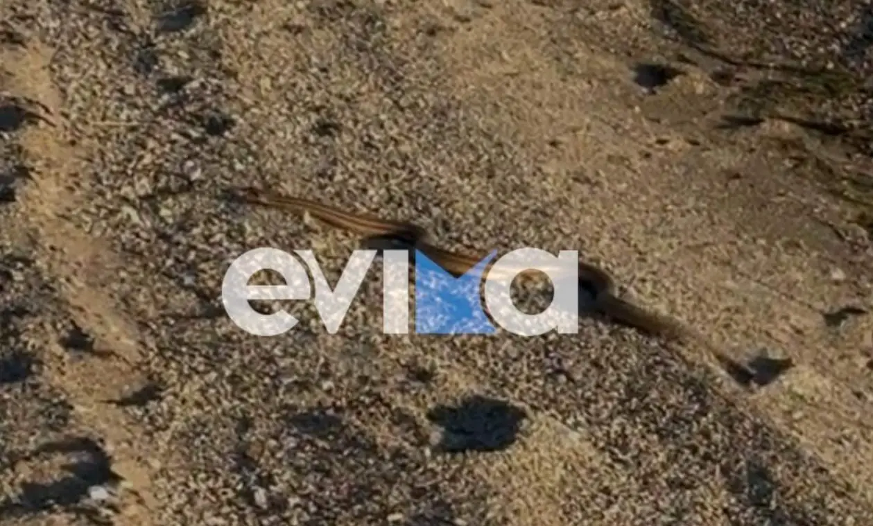screenshot 5 2