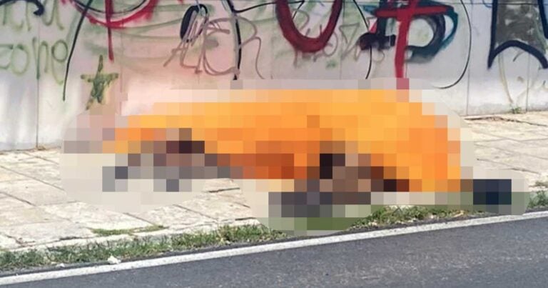 Σάλος στην Κέρκυρα: Ελεύθερος υπό όρους ο αμαξάς – Αντιδράσεις από φιλοζωικές οργανώσεις
