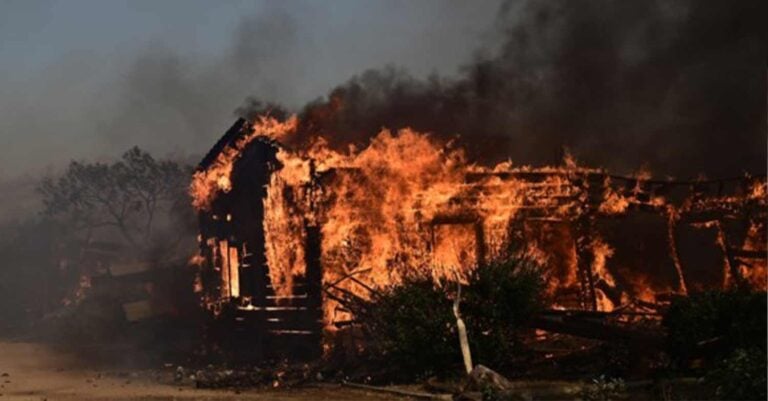 Δυστυχώς, κάηκε το καταφύγιο αδέσποτων ζώων Fazoo Farm στο Κορωπί. Ελάχιστα ζωάκια γλίτωσαν