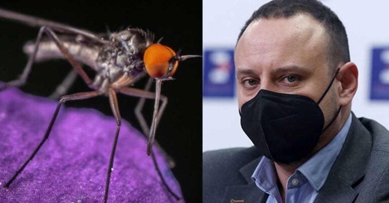 Δυσάρεστα νέα: 4 από τις πιο θανατηφόρες ασθένειες έρχονται στην Ευρώπη λόγω κλιματικής αλλαγής