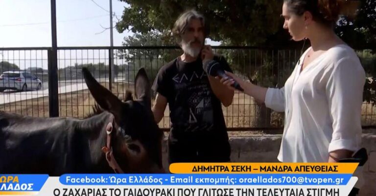 Φωτιά στη Μάνδρα: Ο κύριος Γιάννης αρνήθηκε να εγκαταλείψει και έσωσε 1200 πρόβατα και ένα γαϊδουράκι