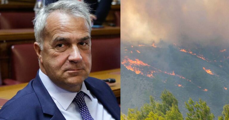 «Η ΕΥΠ ερευνά τη φωτιά στη Ρόδο» λέει ο Βορίδης