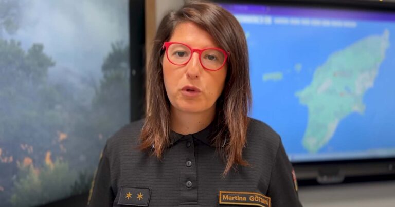 Η Ελλάδα αρνήθηκε βοήθεια από την Τσεχία για τις φωτιές