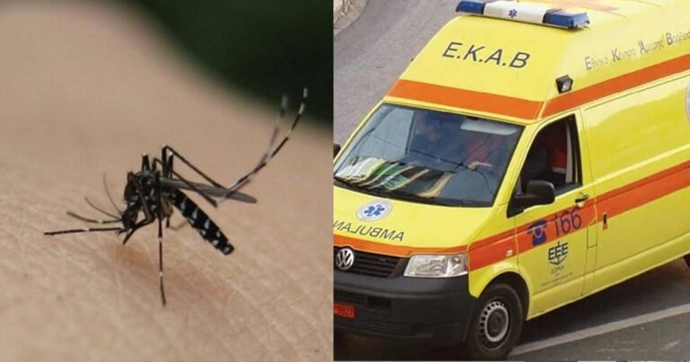Καρδίτσα: Μια 81χρονη το πρώτο θύμα του ιού του Δυτικού Νείλου στην Ελλάδα