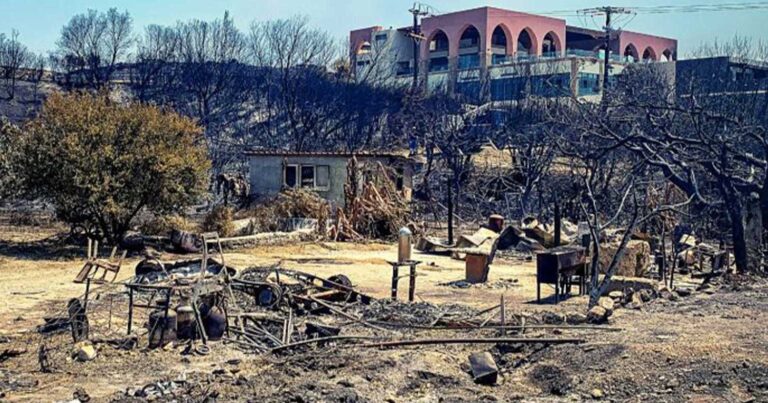 Ρόδος: Ο απολογισμός της πύρινης «κόλασης» – Συνολικά 50.000 ελαιόδεντρα και 2.500 ζώα «χάθηκαν» από τη φωτιά