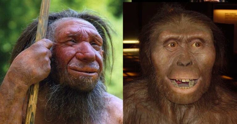 Βρέθηκαν τα γονίδια που επέτρεψαν στον άνθρωπο να σηκωθεί όρθιος