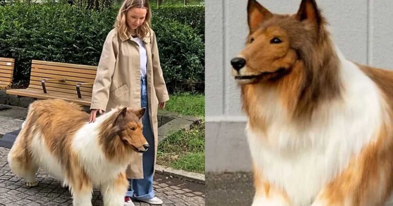 Ιάπωνας που ξόδεψε χιλιάδες ευρώ για να «μεταμορφωθεί» σε σκύλο έκανε την πρώτη του δημόσια εμφάνιση