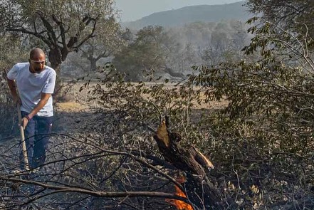 valadis official page 363313498 18377702644009223 3816621247699536137 n