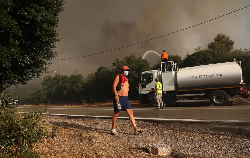 vitioforo nerou fotia.jpg