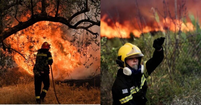 Φωτιά στη Βοιωτία: Nεκρός βοσκός – Έλαβε μήνυμα από το 112 και έτρεξε να σώσει τα ζώα