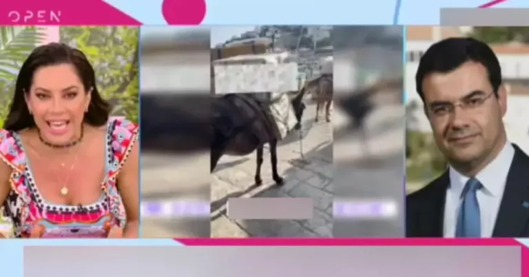 Ξέσπασε on air η Μαριάντα Πιερίδη κατά του δημάρχου Ύδρας: «Εμείς θέλουμε τα ζώα να μην κάνουν καθόλου αυτή τη δουλειά»