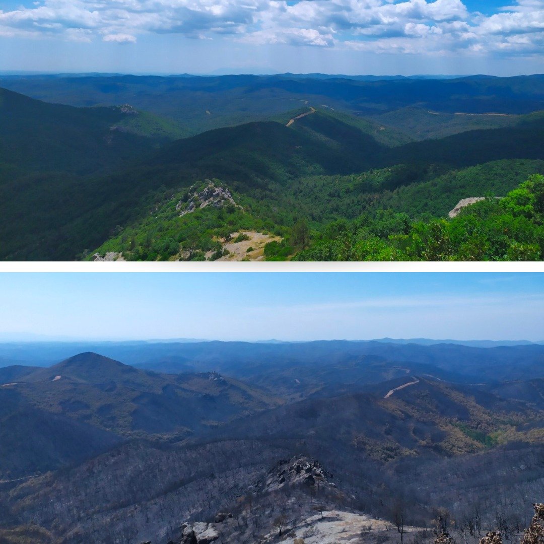 372843178 689934876505408 698228689807236571 n