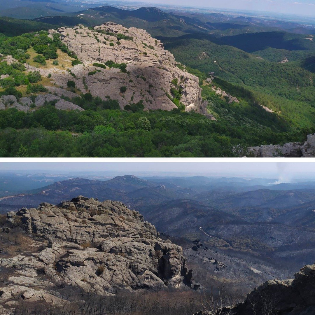 372919763 689934929838736 8187762023396762681 n