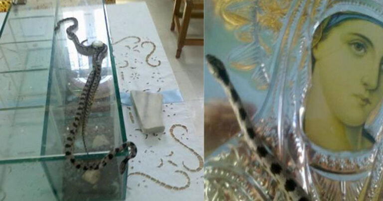 Η ιστορία πίσω από το θαύμα με τα φιδάκια της Παναγίας