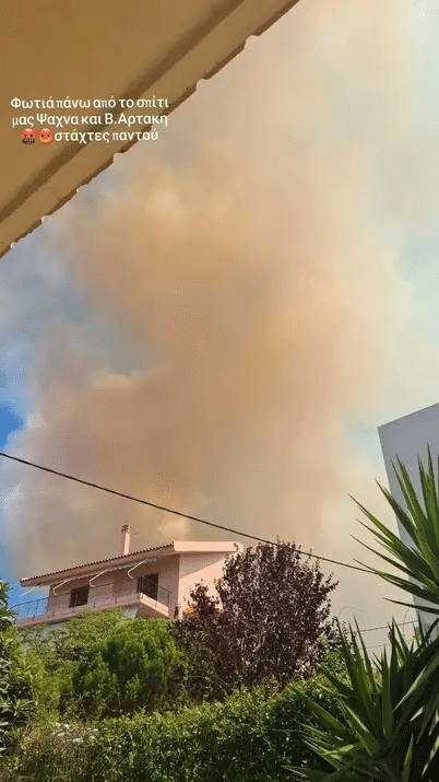 Έφτασε η φωτιά στο σπίτι της: Τραγικές ώρες για την Μελίνα Μακρή - «Μαζέψαμε τα απαραίτητα και φύγαμε» 7 Η ανάρτηση της Μελίνας Μακρή για τη φωτιά στα Ψαχνά