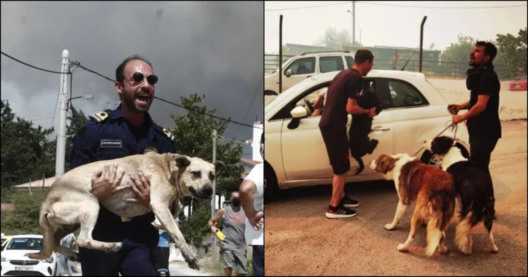 Με τα σκυλιά στην αγκαλιά τους τρέχουν να σωθούν κάτοικοι στο Μενίδι