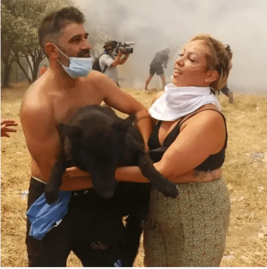 Ο Τάσος Μπαλάσκας στη φωτιά της Παρνηθας 