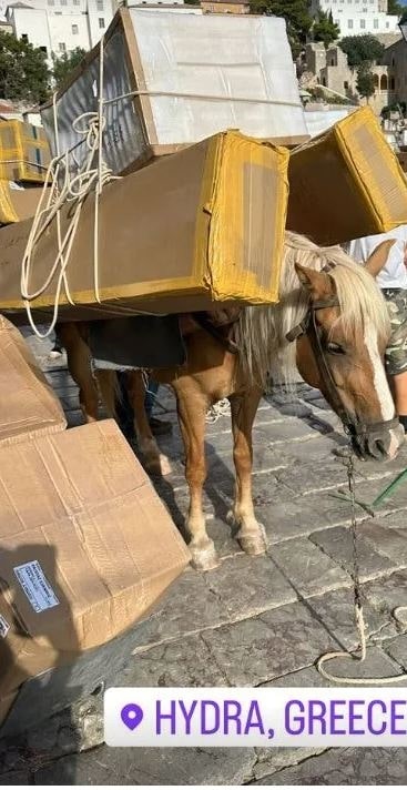 Εικόνες ντροπής στην Ύδρα: Φορτώνουν γαϊδουράκια με βαριά αντικείμενα Εικόνες που προκαλούν αποτροπιασμό, θλίψη και οργή κατέγραψε η Εριέττα 1 Ντροπή για υπερφορτωμένα γαϊδουράκια στην Ύδρα - Εριέττα Κούρκουλου: "Δεν δικαιολογούνται αυτές οι εικόνες"