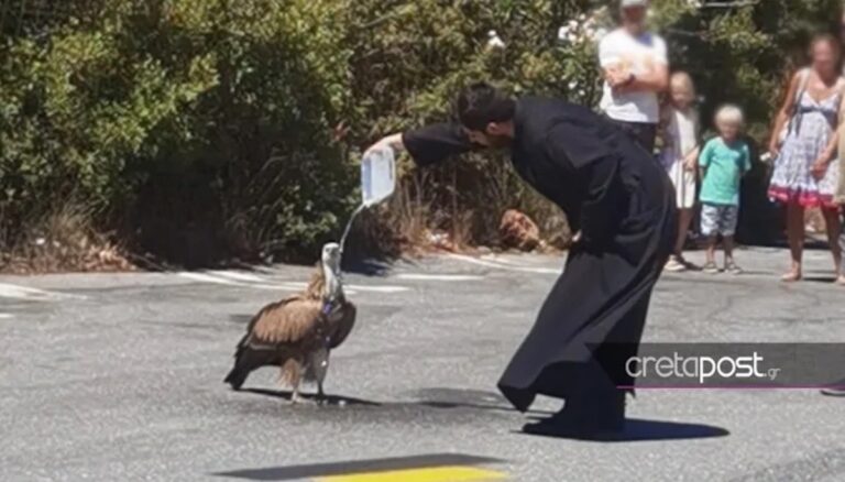 Κρήτη: Ιερέας έδωσε νερό σε εξαντλημένο άγριο πτηνό