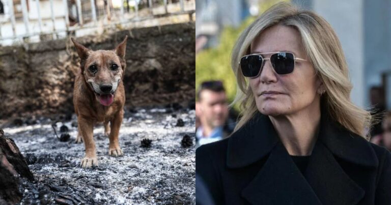 Συγκλονισμένη η Μαρέβα Μητσοτάκη από τις καταστροφικές πυρκαγιές: Η δημόσια έκκληση για βοήθεια