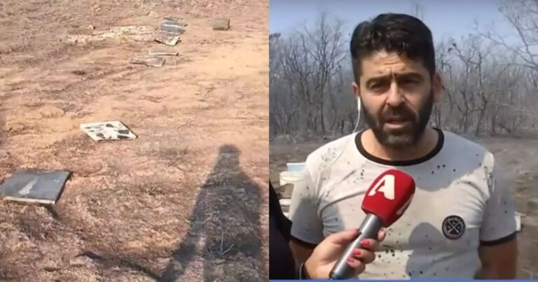 Μήνυμα ελπίδας από τον μελισσοκόμο στον Έβρο: «Σας υπόσχομαι ότι την άνοιξη θα επανέλθω, το δάσος πρέπει να πάρει ζωή»