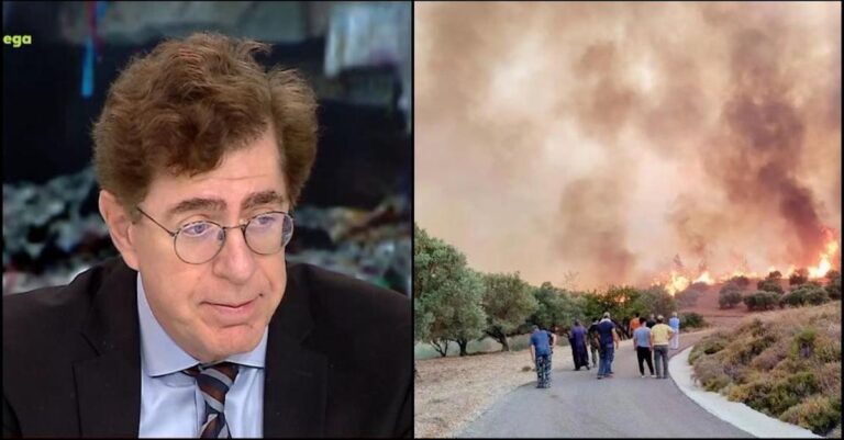 Χαμός με τις δηλώσεις Συνολάκη: «Δεν είναι πολλά τα 500.000 καμένα στρέμματα»