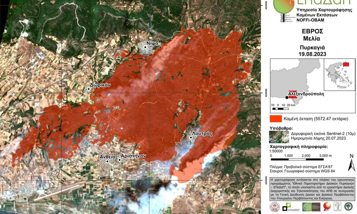 ebros fotia scaled 1