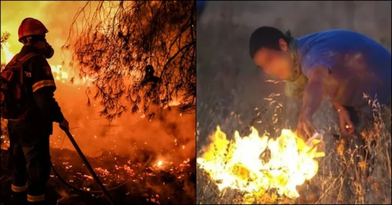 Εποχικός Πυροσβέστης συνελήφθη για 5 εμπρησμούς στην Κεφαλονιά