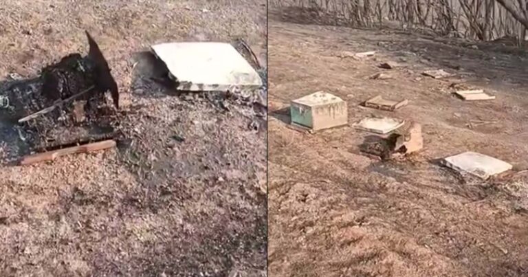 Έβρος: Συγκινούν τα λόγια μελισσοκόμου που έχασε τις μέλισσές του στη φωτιά