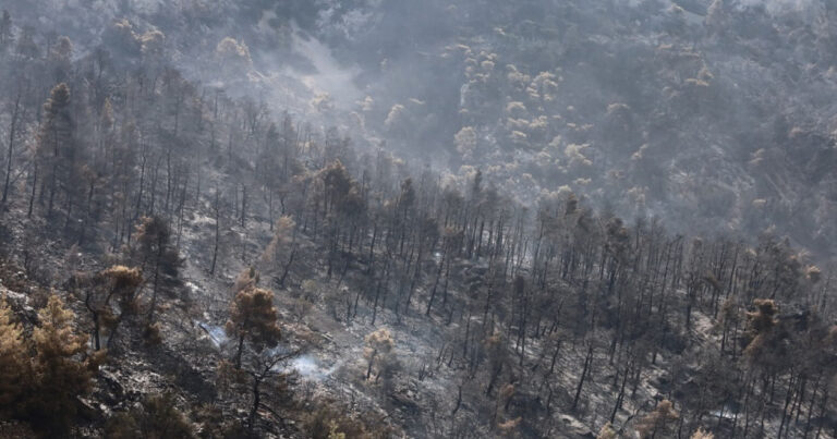 Η Αττική έχασε το 1/3 των δασών της μέσα σε 7 χρόνια – Στάχτη πάνω από 600.000 στρέμματα