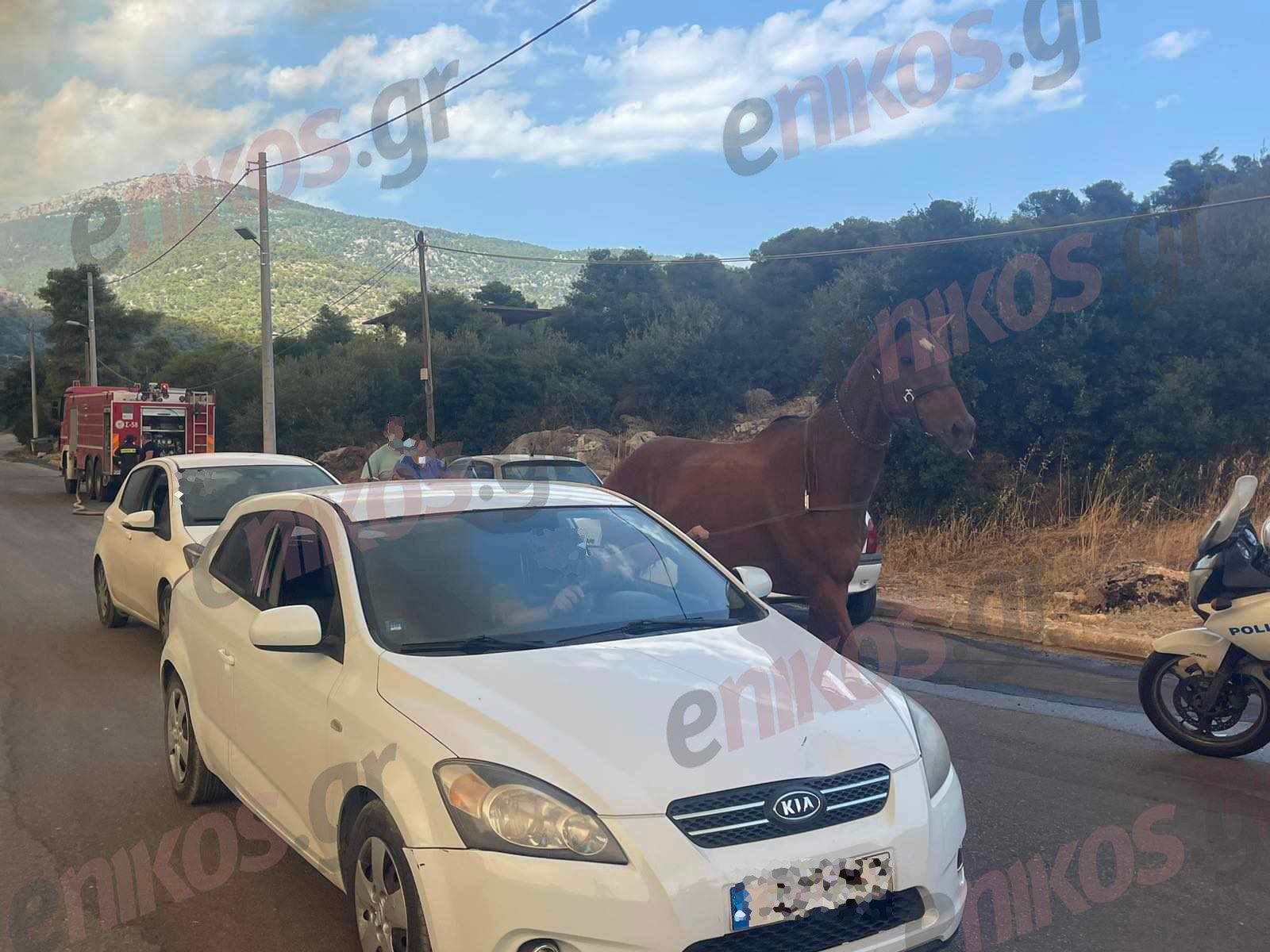 fotia parnitha fili alogo 3 1