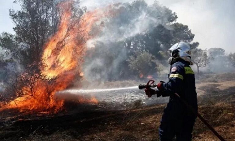EKTAKTO – Φωτιά στο Άγιο Όρος – Συναγερμός στην Πυροσβεστική
