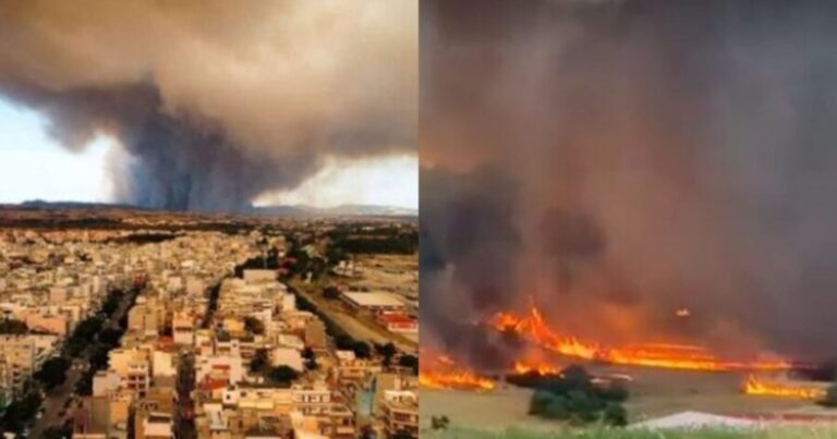 Η μητέρα γη σπαράζει: Κάηκαν τουλάχιστον 75.000 στρέμματα στην Αλεξανδρούπολη μετά την φωτιά